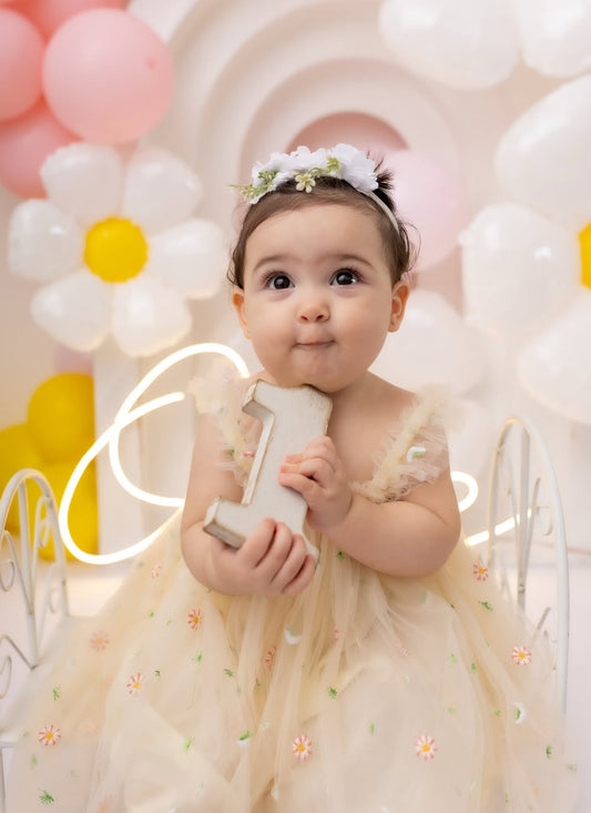 Vestido Tul con Margaritas Bordadas