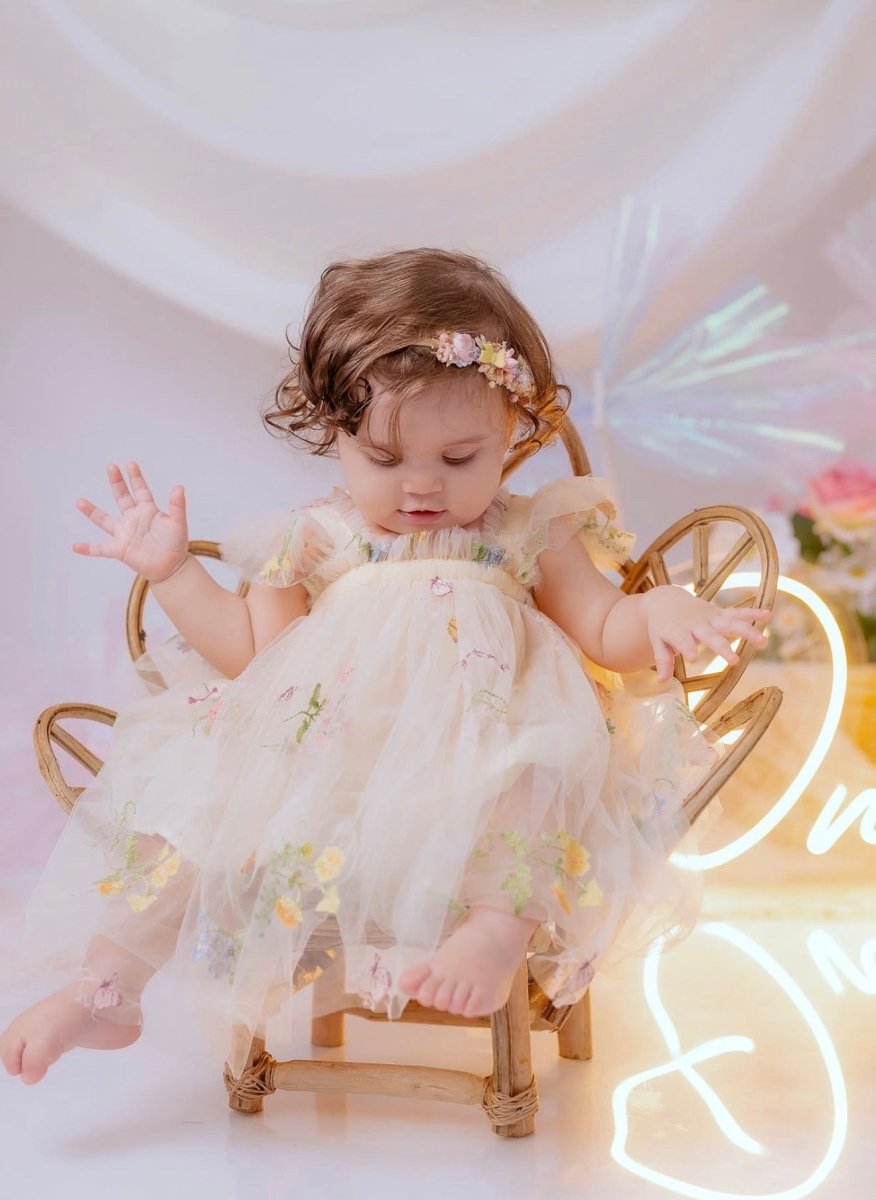 Vestido Mariposa para Bebé Niña| para Cumpleaños y Sesión de Fotos | Vestido | Ropa de bebé y niña | El Closet de Emma