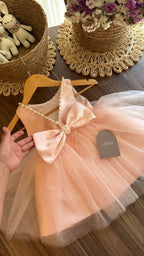 Outfit Elegante para Bebé Niña en Tono rosa con Vestido de Tul, Zapatos y Tiara | El Clóset de Emma | | Ropa de bebé y niña | El Closet de Emma