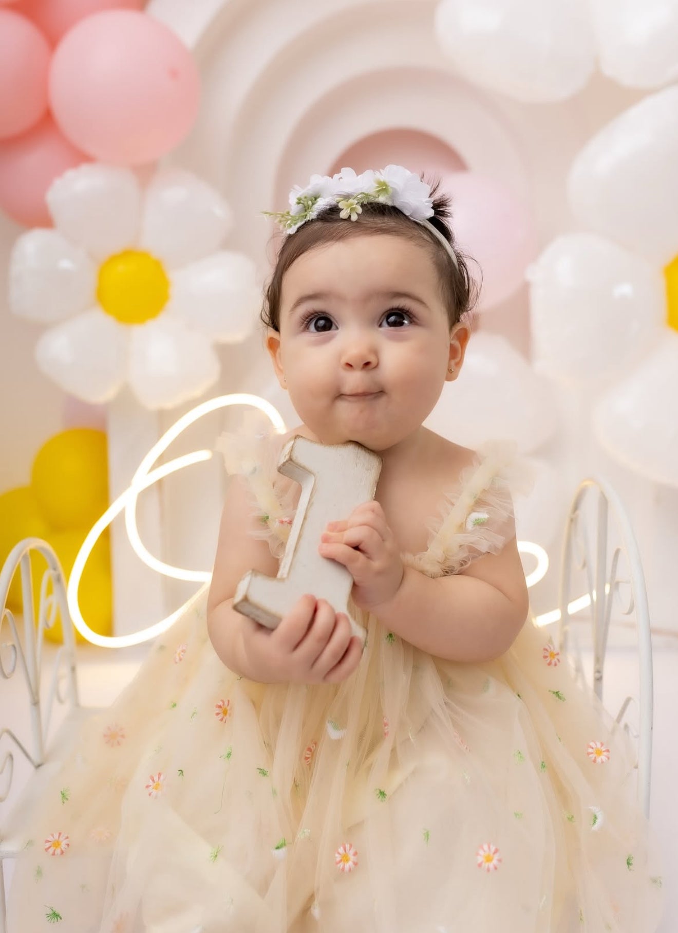 Vestido Tul con Margaritas Bordadas Imagen principal del producto