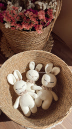 Amigurumi Conejito Sueños de Algodón 🐰🤍