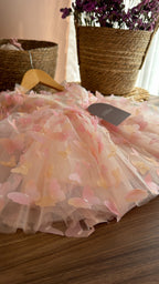 Vestido de Mariposas Rosa para Niña – Set Hada